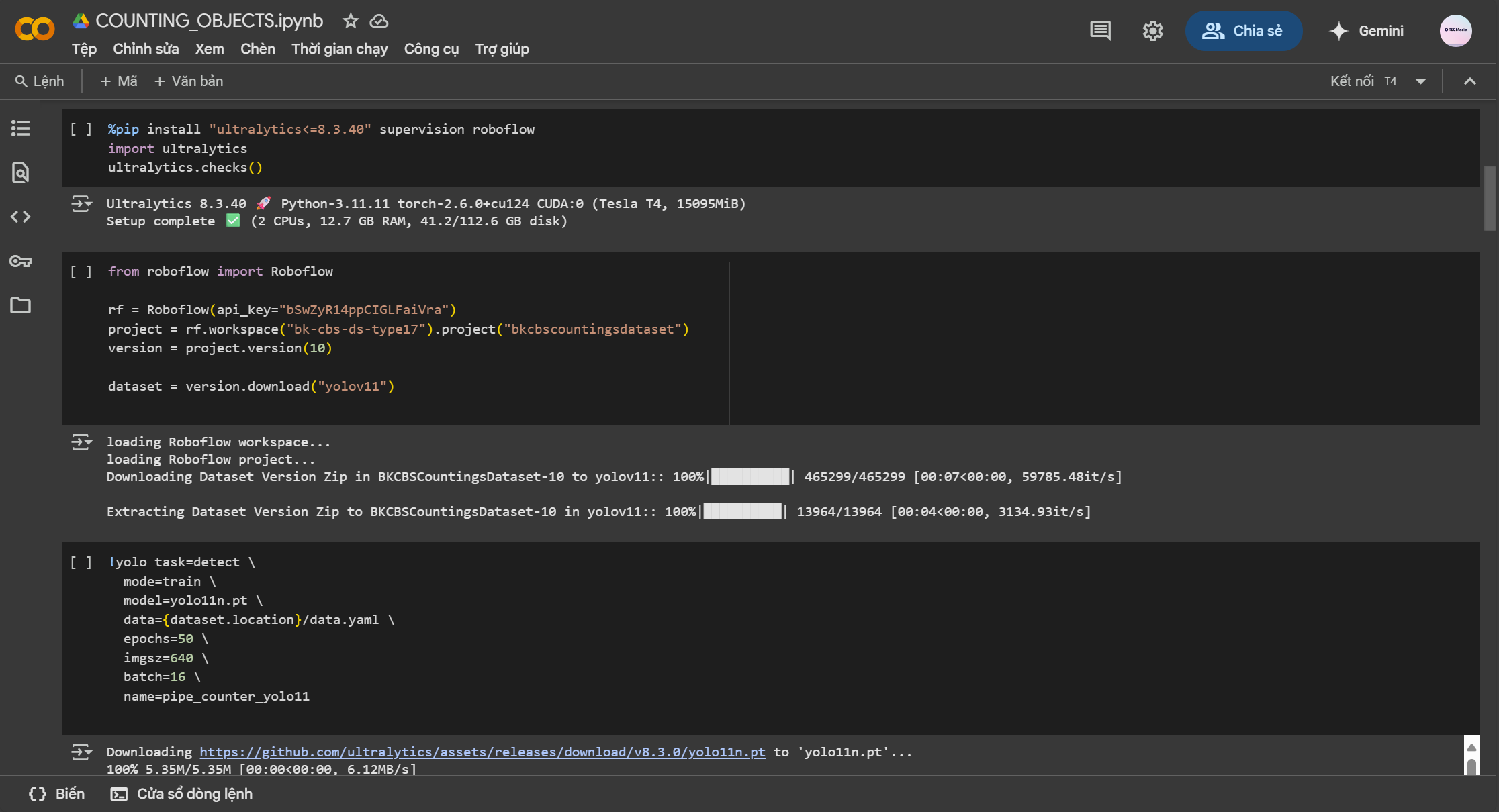 YOLOv12 Object Detection